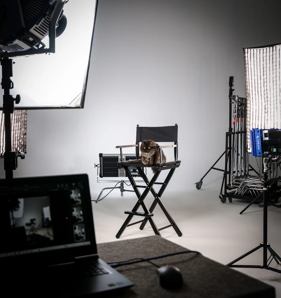The Studio on 3rd Avenue photo 2